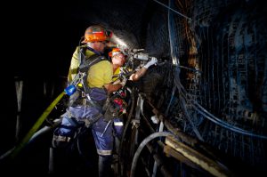 mining noise nihl